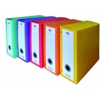 BOITE ARCHIVE ECOSSAIS II AVEC TRESSE CLASVIT 01051 